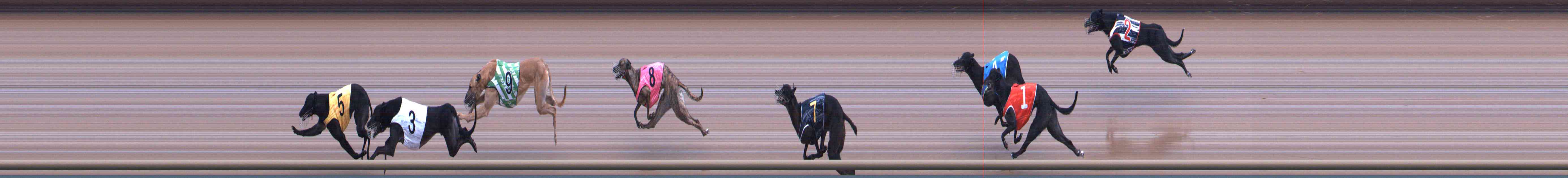 Photo finish for Healesville Race 4