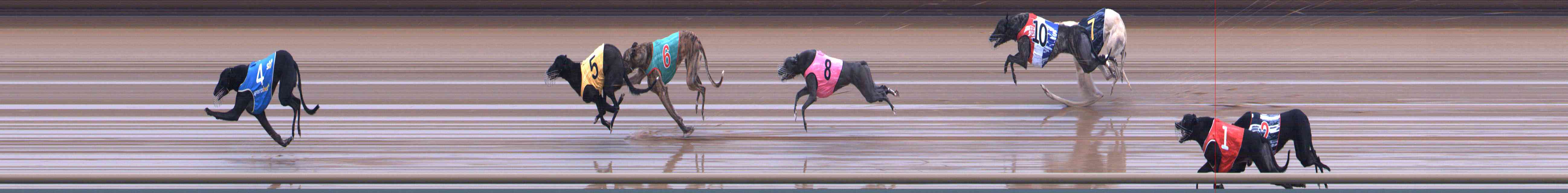 Photo finish for Healesville Race 5