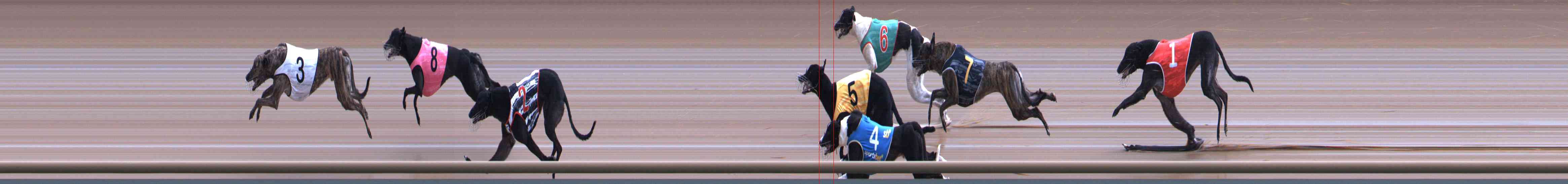 Photo finish for Healesville Race 6