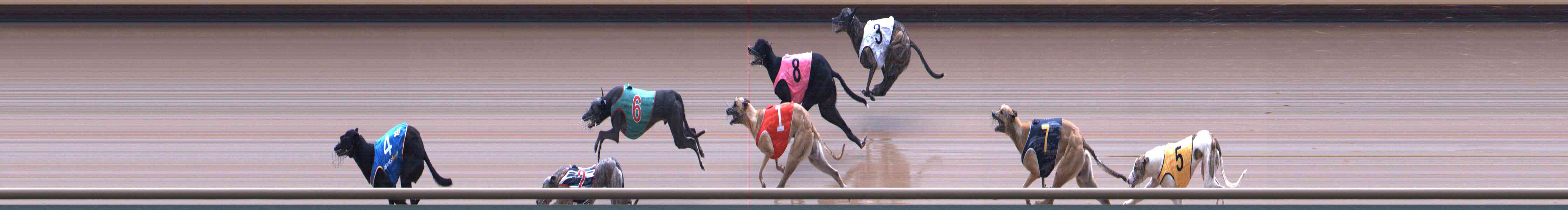 Photo finish for Healesville Race 7