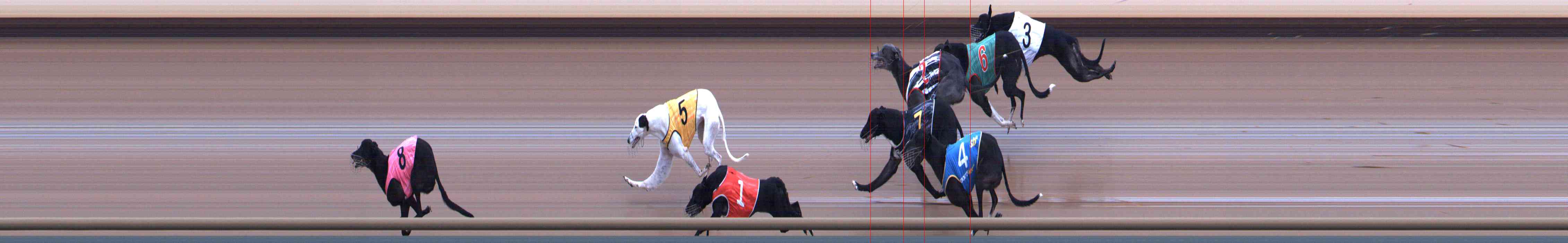Photo finish for Healesville Race 8