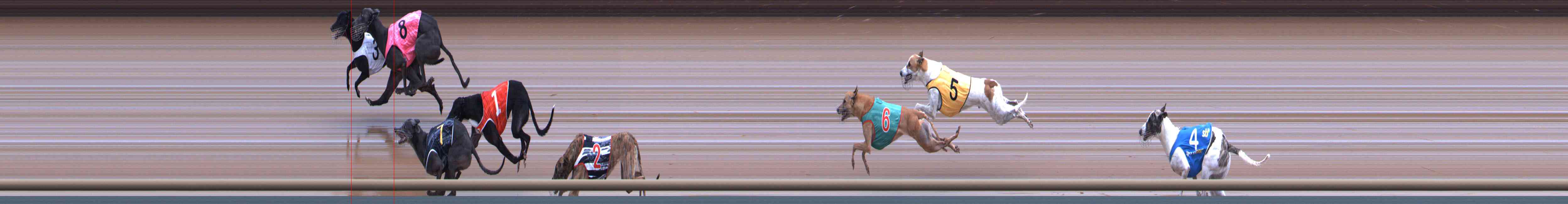 Photo finish for Healesville Race 9