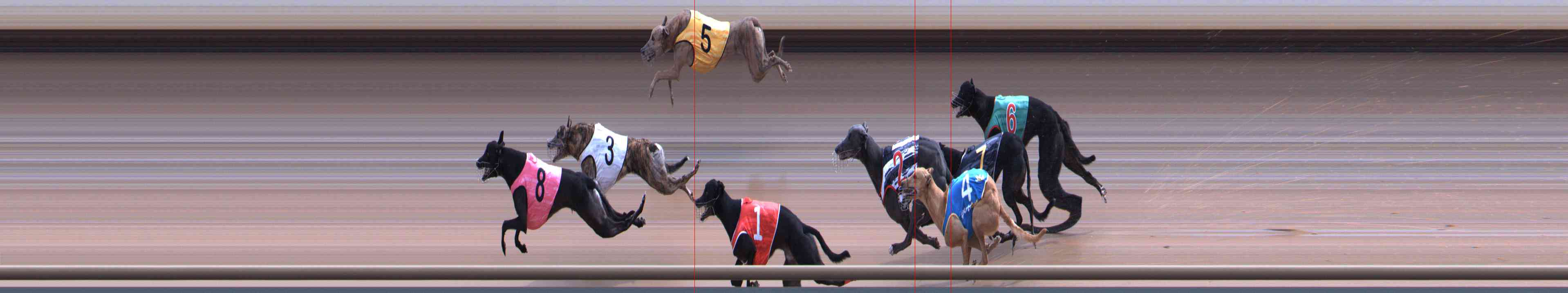 Photo finish for Healesville Race 10