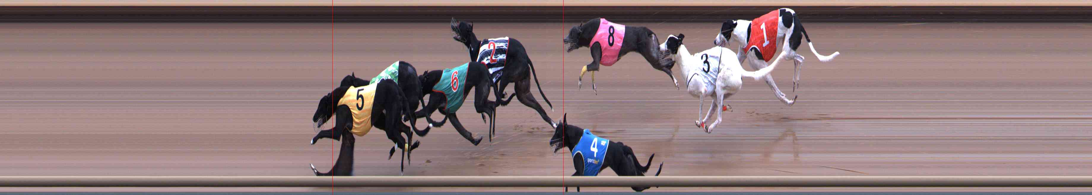 Photo finish for Healesville Race 11