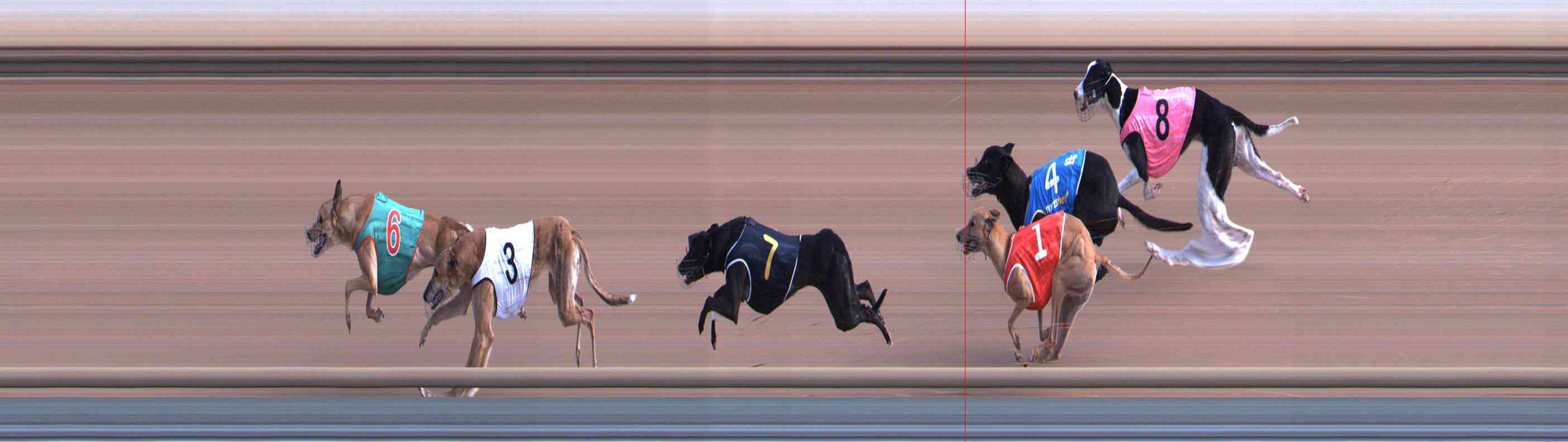 Photo finish for Healesville Race 2