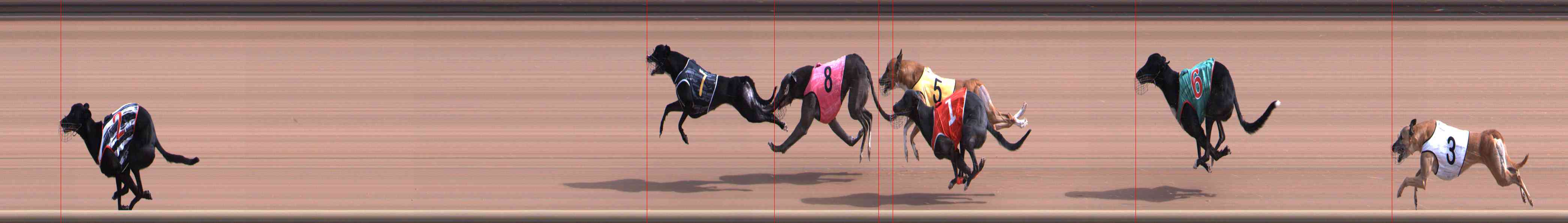 Photo finish for Healesville Race 3