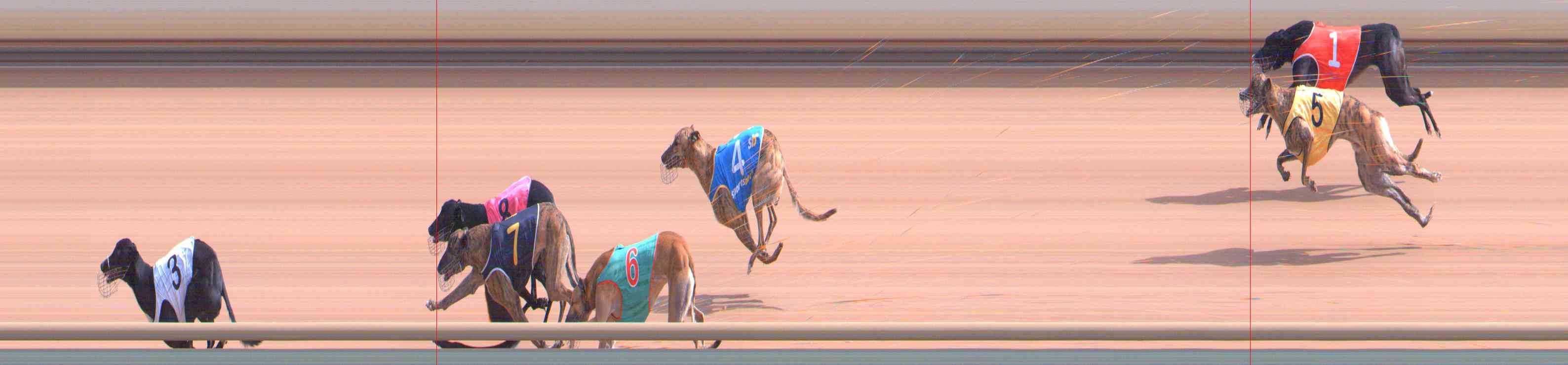 Photo finish for Healesville Race 4