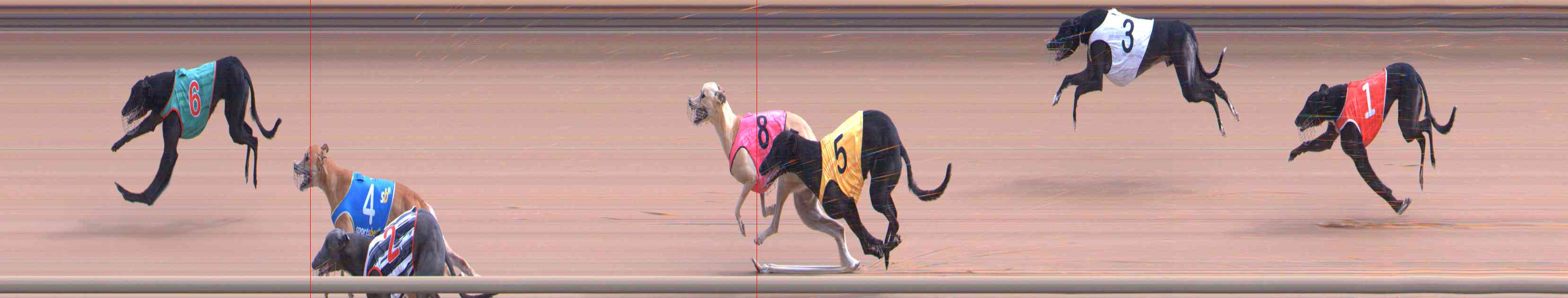 Photo finish for Healesville Race 5