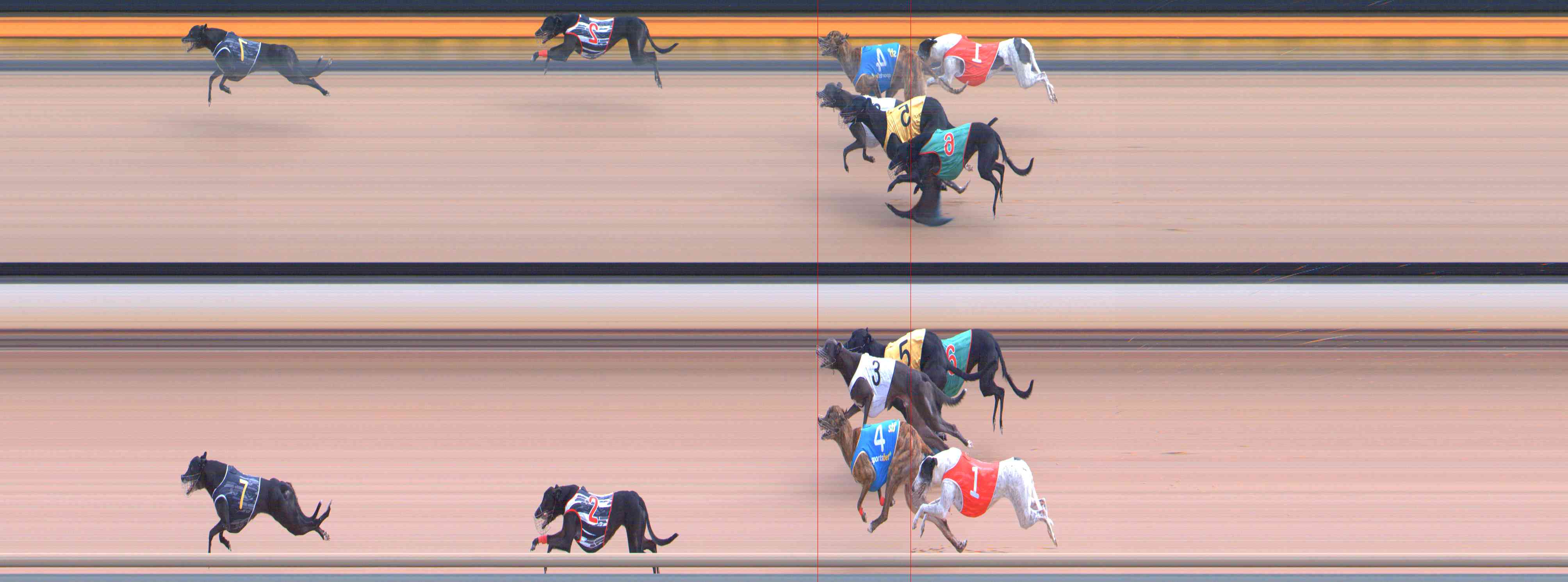 Photo finish for Healesville Race 6