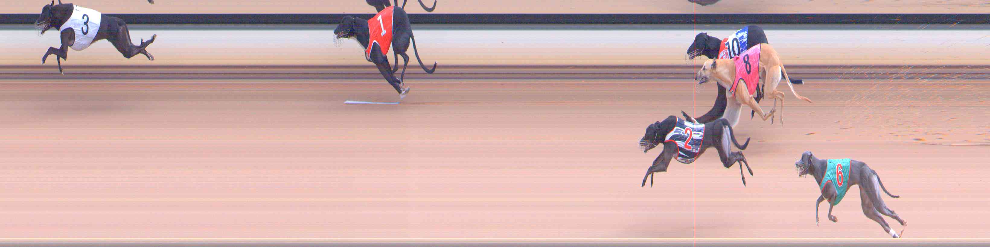 Photo finish for Healesville Race 7