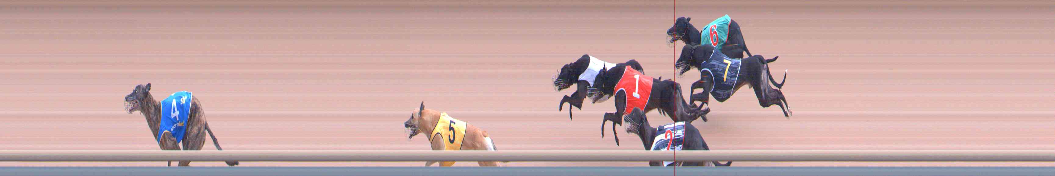 Photo finish for Healesville Race 8
