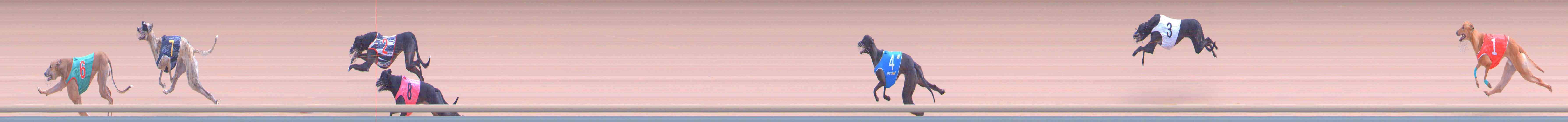 Photo finish for Healesville Race 9