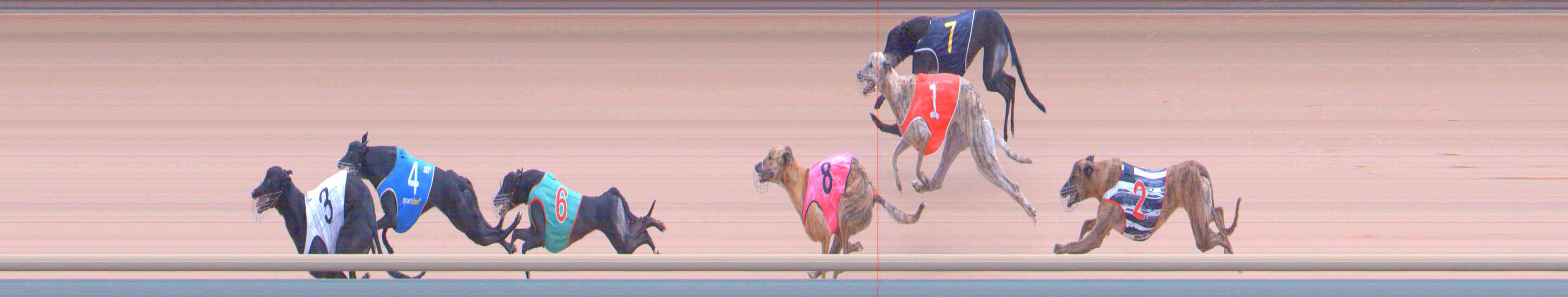 Photo finish for Healesville Race 11