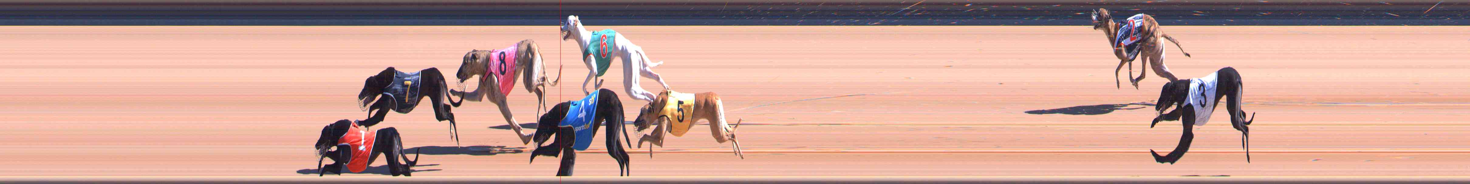 Photo finish for Healesville Race 2