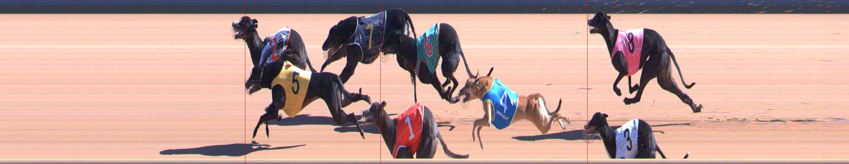Photo finish for Healesville Race 3