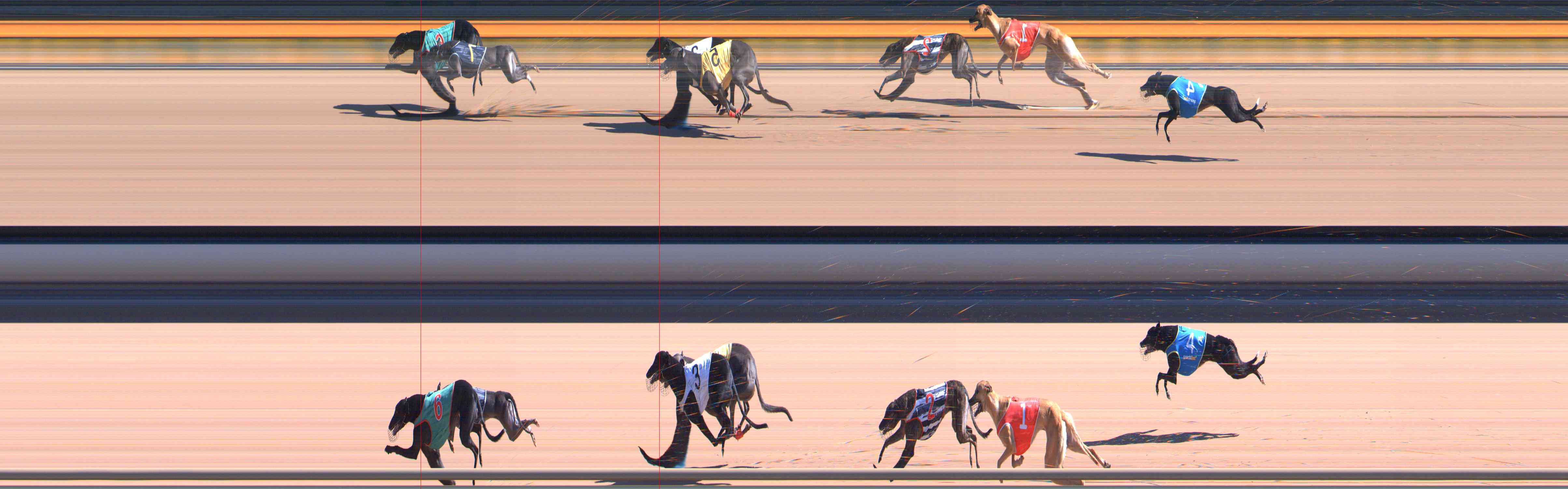 Photo finish for Healesville Race 4