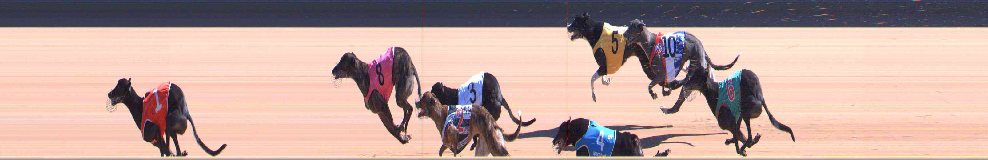 Photo finish for Healesville Race 5