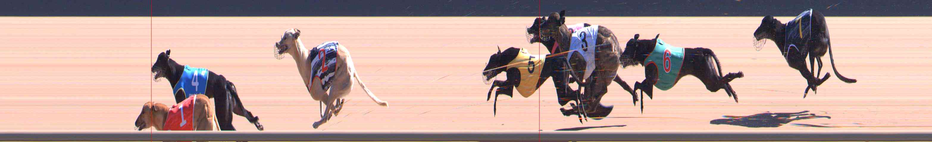 Photo finish for Healesville Race 6