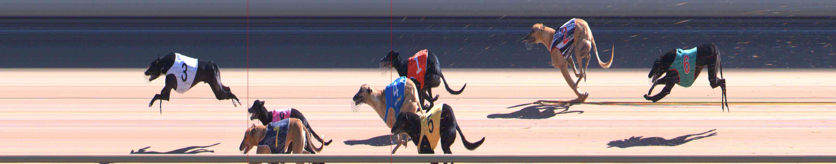 Photo finish for Healesville Race 7