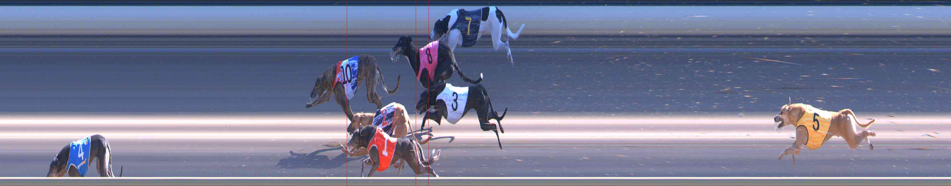 Photo finish for Healesville Race 9
