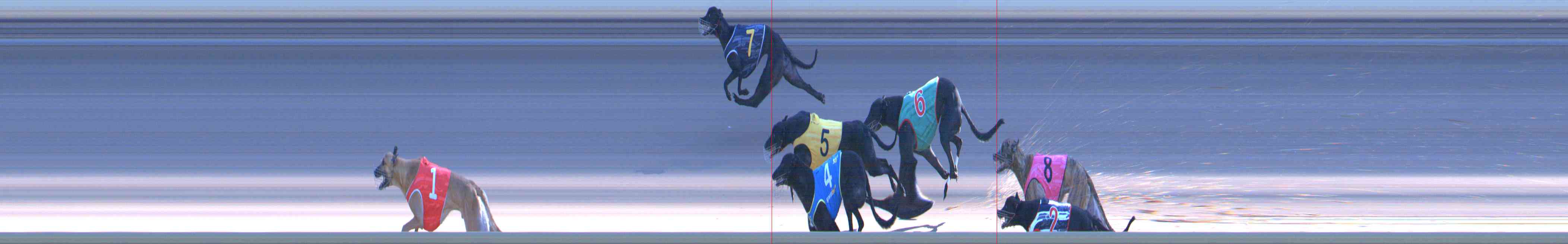 Photo finish for Healesville Race 10