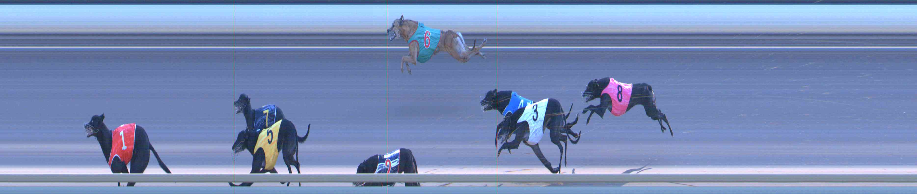 Photo finish for Healesville Race 11