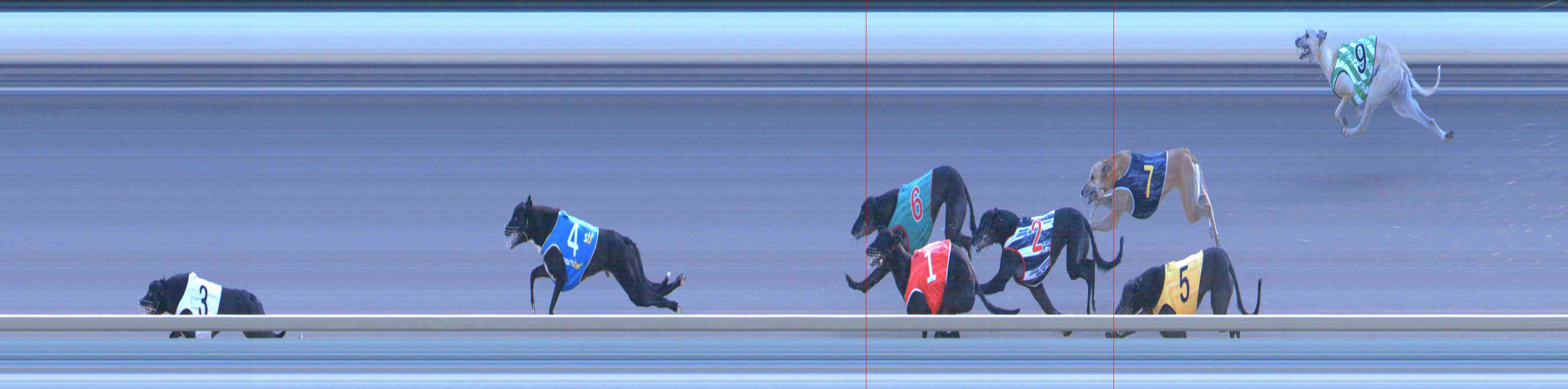 Photo finish for Healesville Race 12