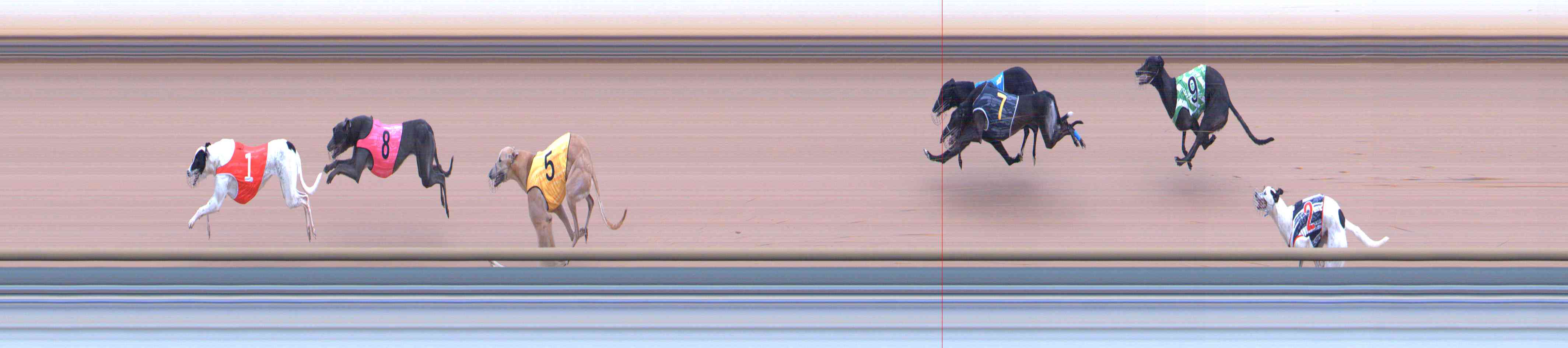 Photo finish for Healesville Race 1