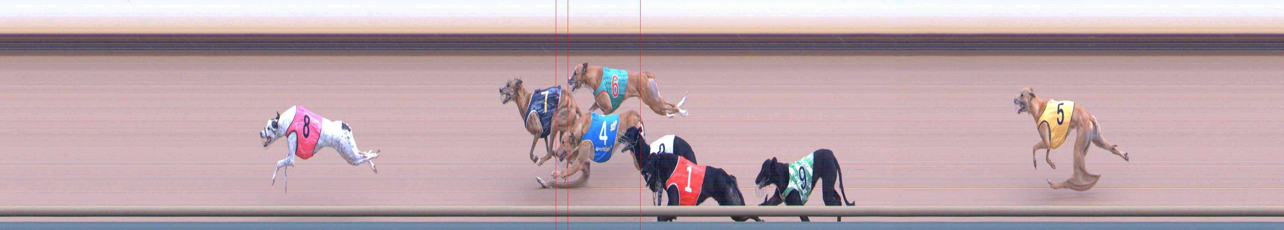 Photo finish for Healesville Race 3