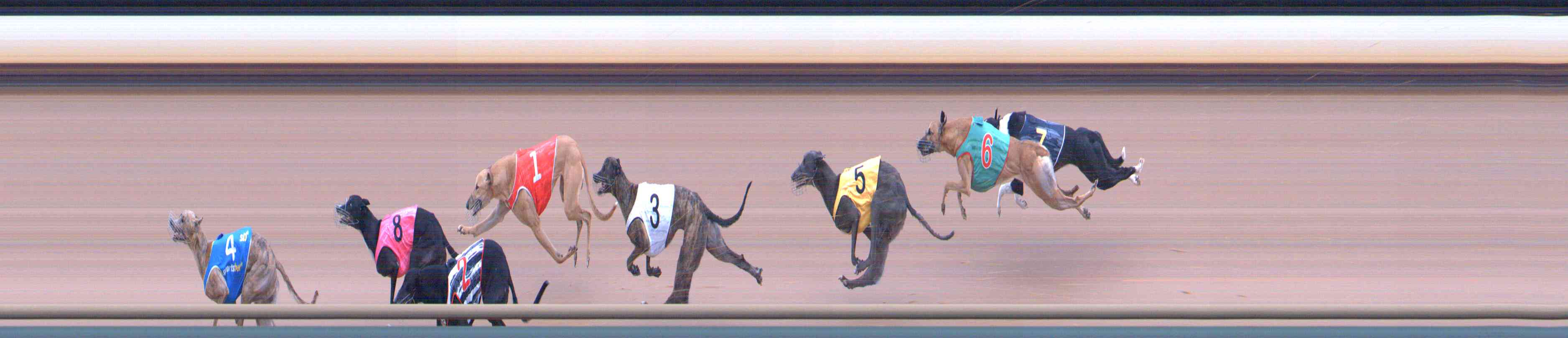 Photo finish for Healesville Race 4