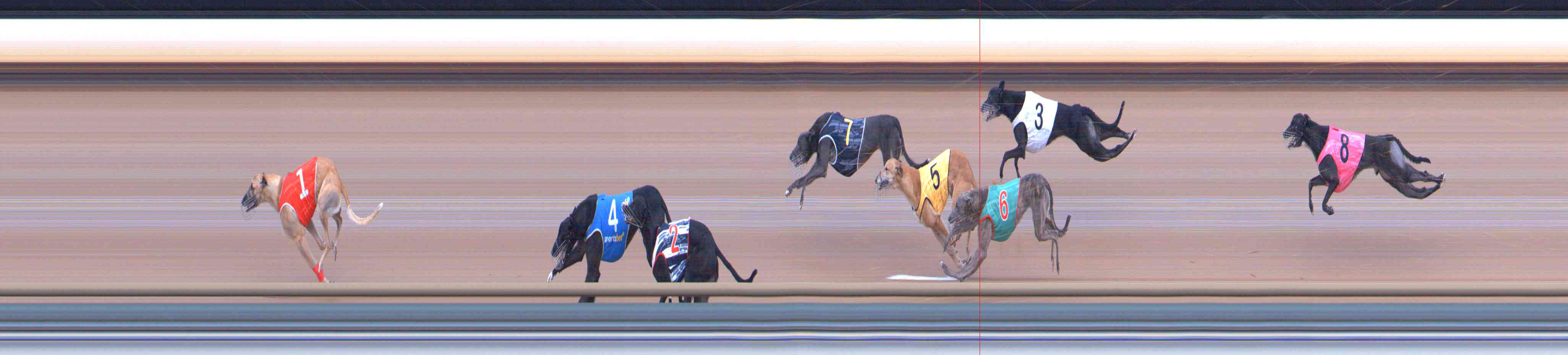 Photo finish for Healesville Race 5