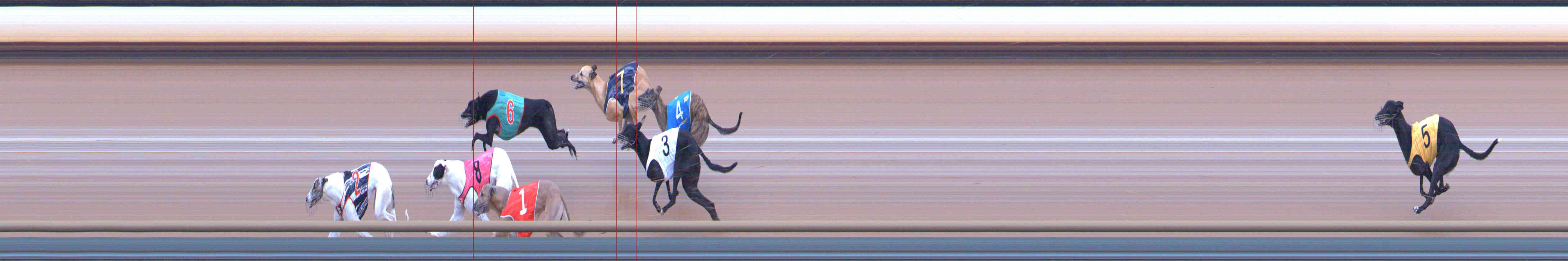 Photo finish for Healesville Race 7