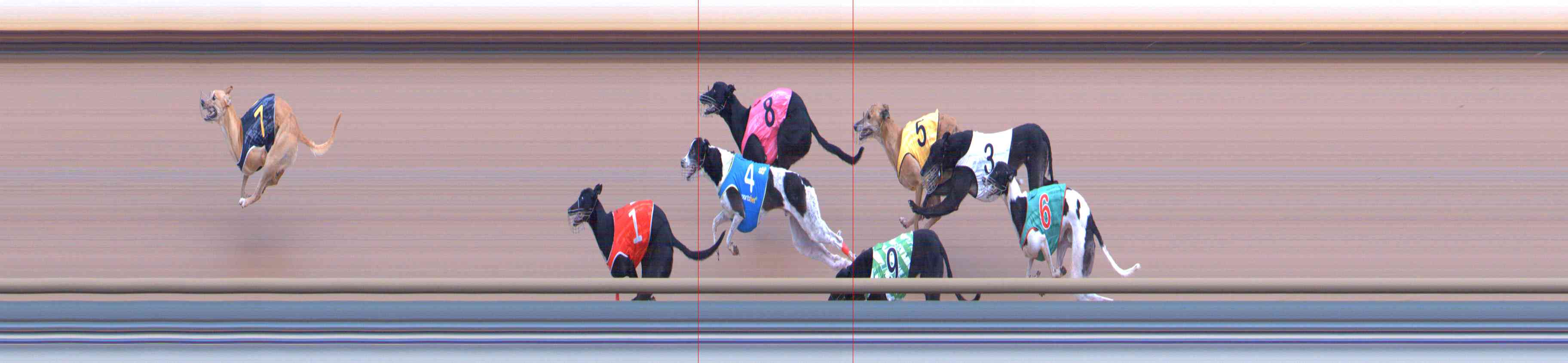 Photo finish for Healesville Race 8