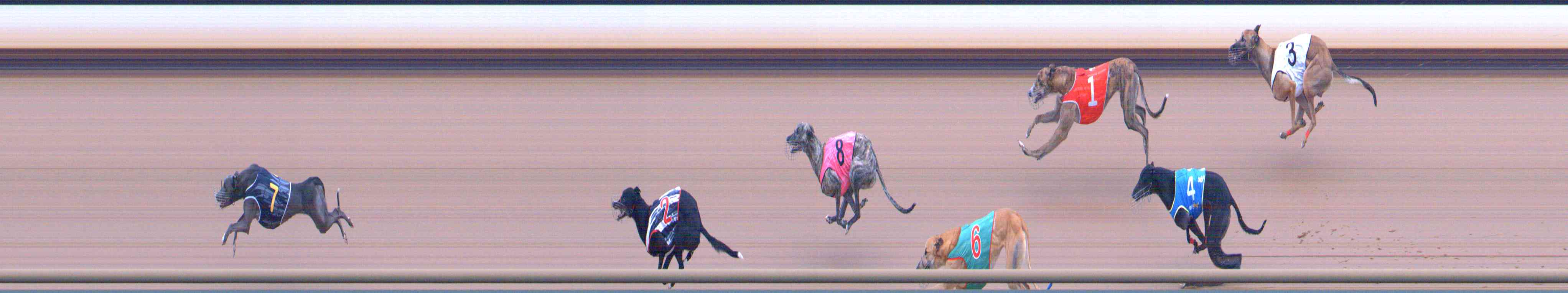 Photo finish for Healesville Race 9