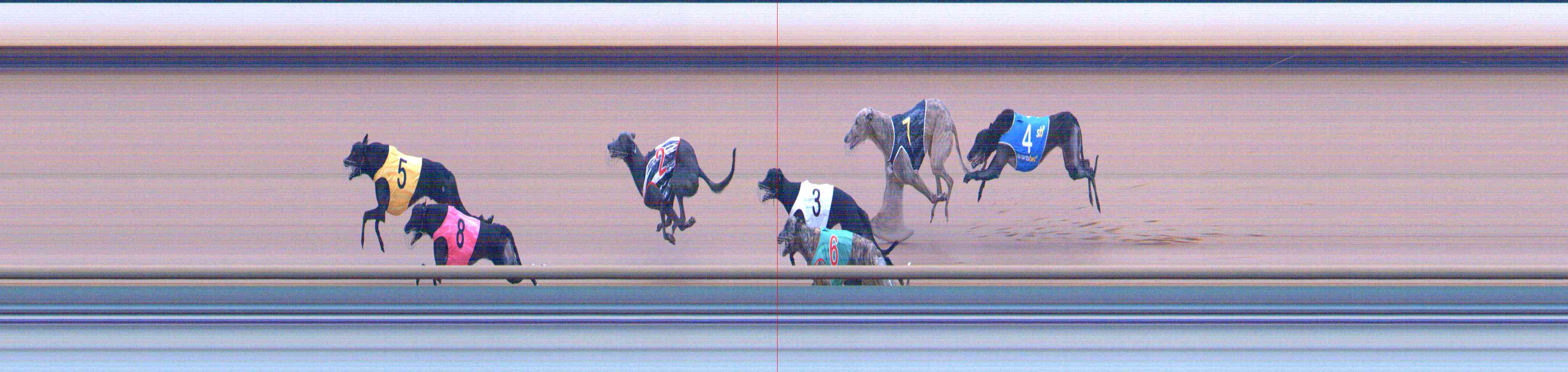 Photo finish for Healesville Race 10