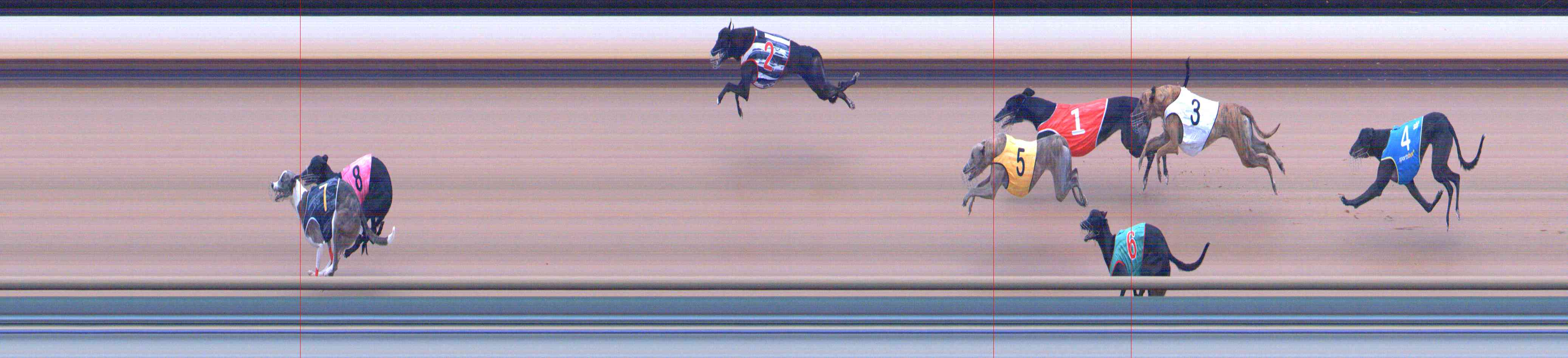 Photo finish for Healesville Race 11