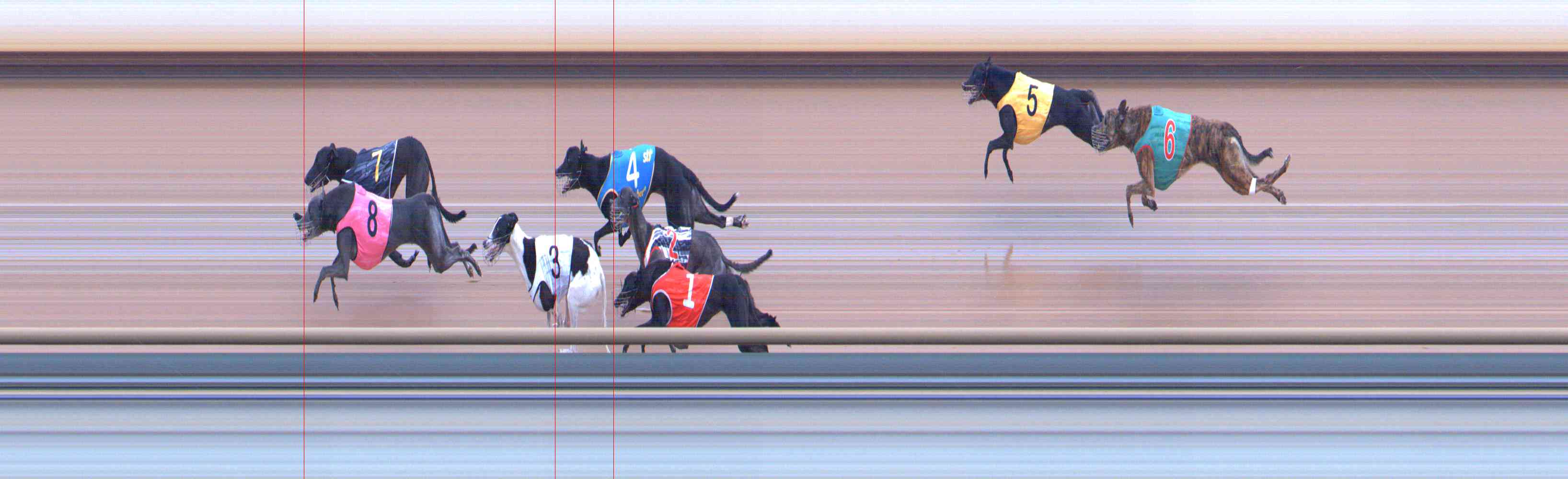Photo finish for Healesville Race 12