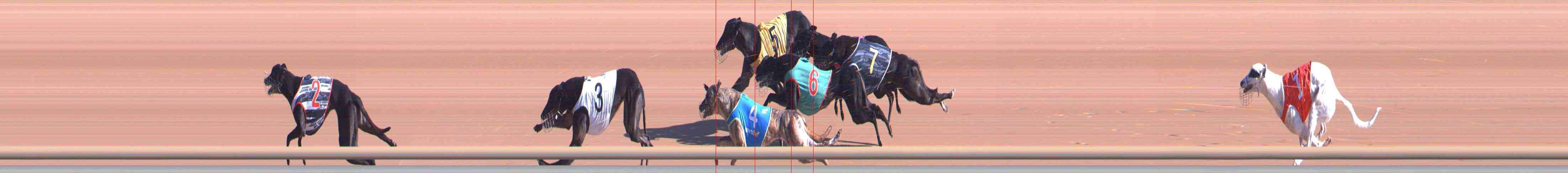 Photo finish for Healesville Race 1