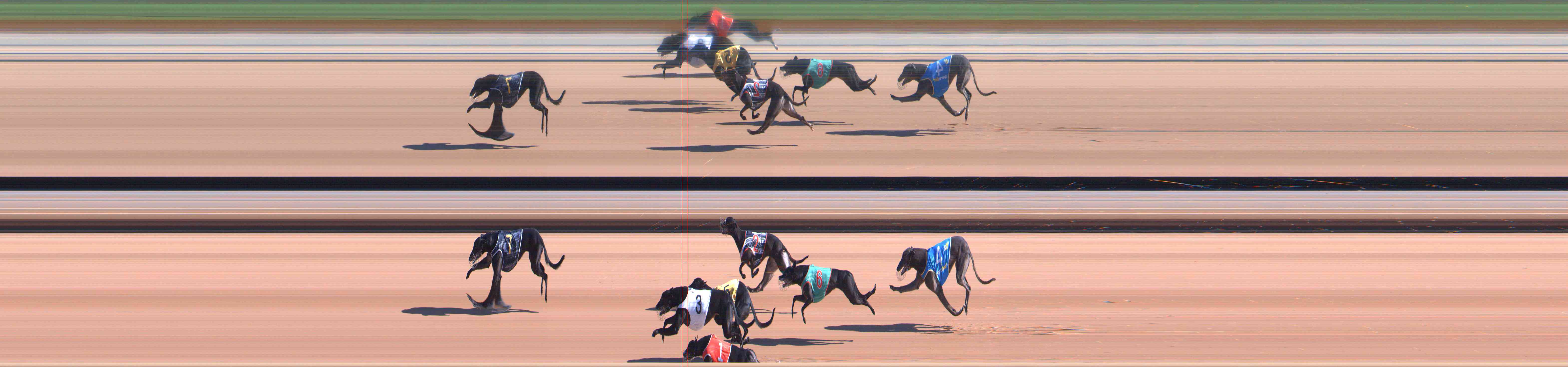 Photo finish for Healesville Race 2