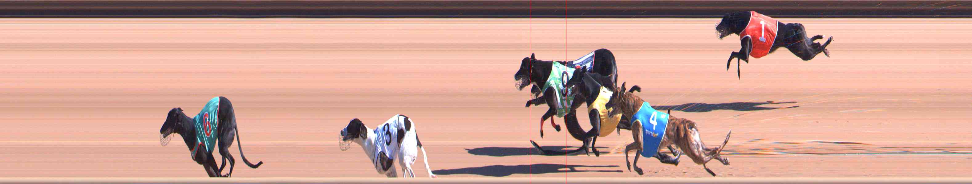 Photo finish for Healesville Race 3
