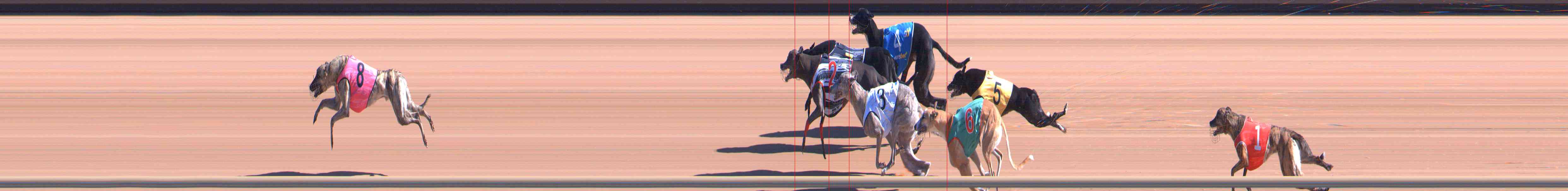 Photo finish for Healesville Race 4