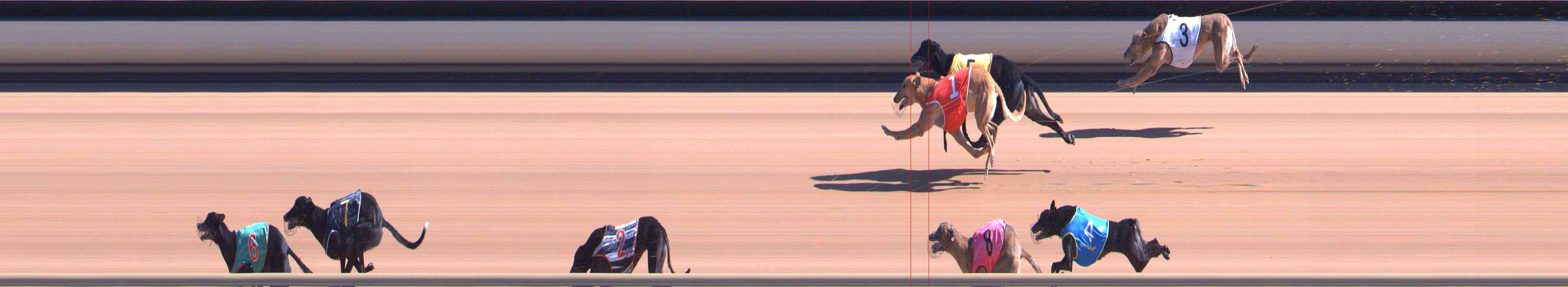 Photo finish for Healesville Race 5