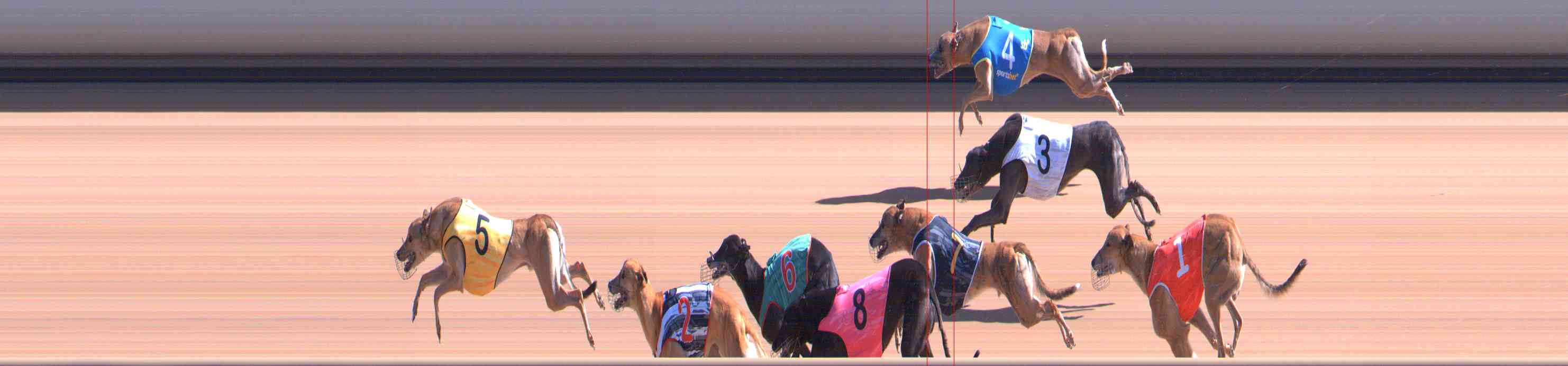 Photo finish for Healesville Race 6