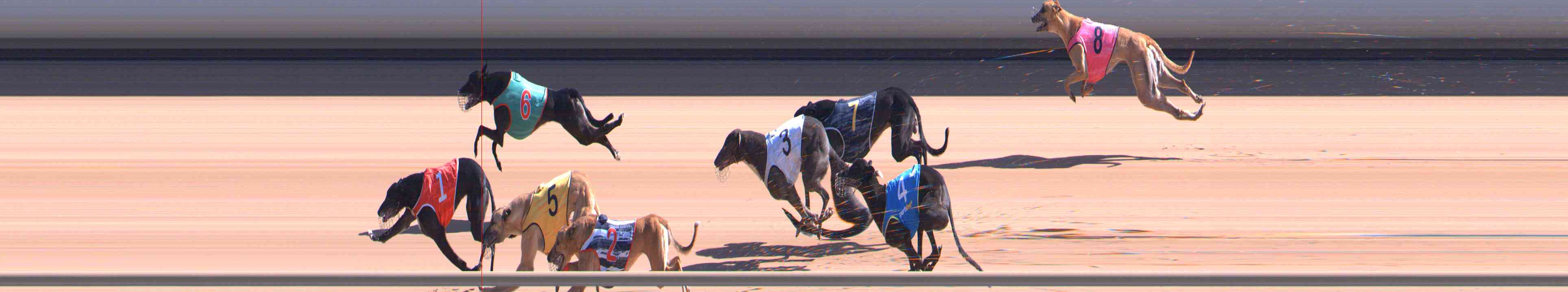 Photo finish for Healesville Race 7