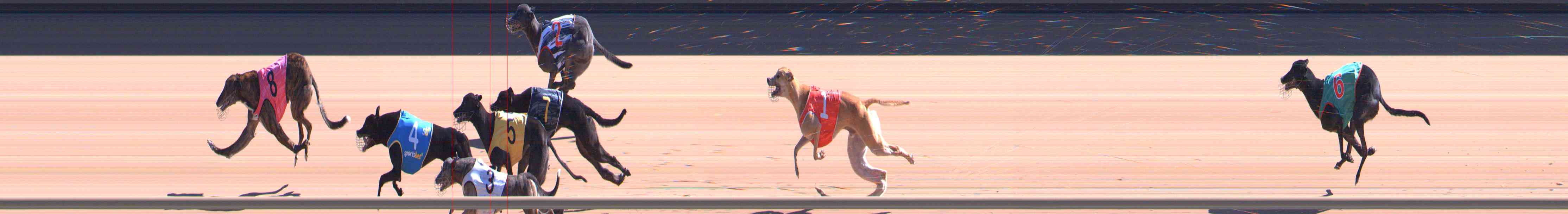 Photo finish for Healesville Race 8