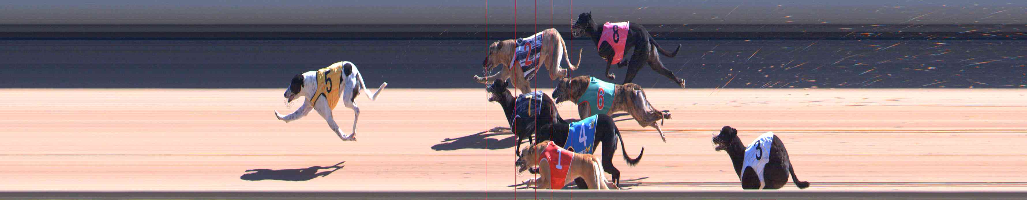Photo finish for Healesville Race 9