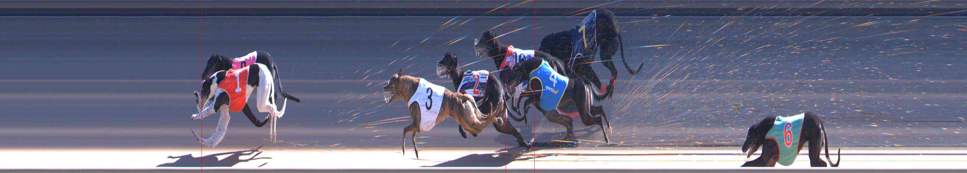Photo finish for Healesville Race 10
