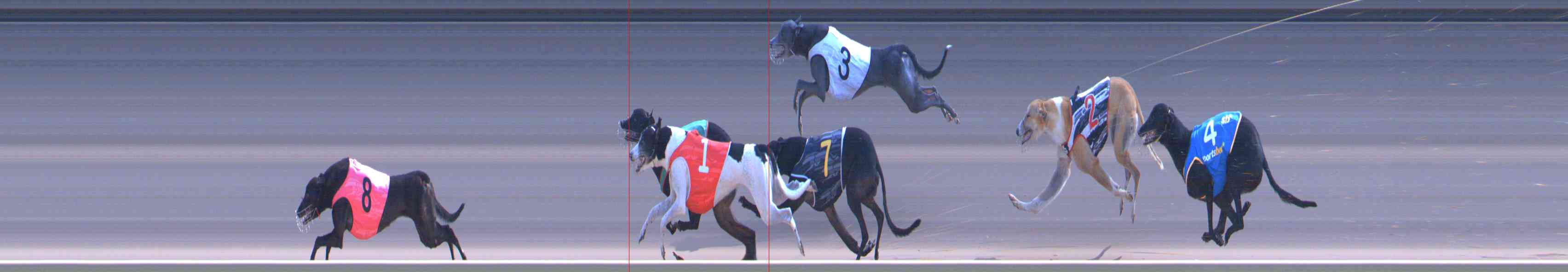 Photo finish for Healesville Race 11