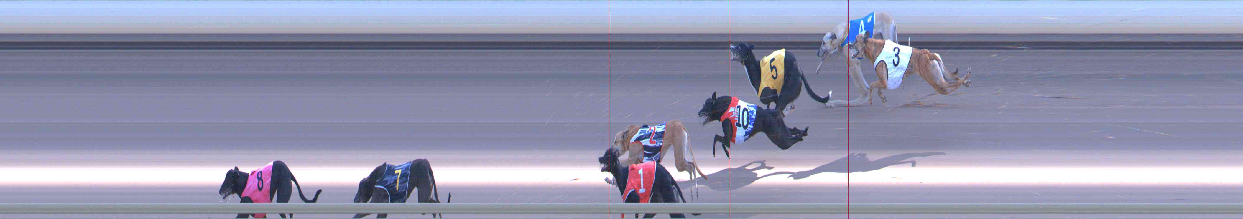 Photo finish for Healesville Race 12