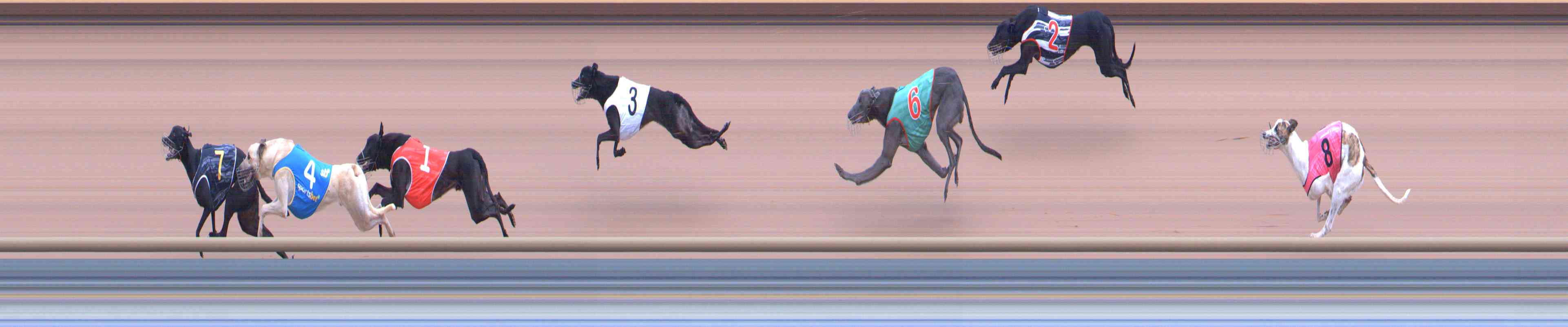 Photo finish for Healesville Race 1